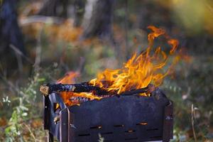 The fire burns in the brazier against the backdrop of the forest. photo