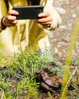 Tourist woman take photo of turtle