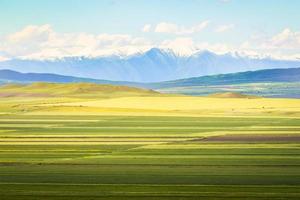campos agrícolas en el valle de alazani con fondo de montañas del cáucaso foto