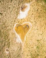 Top down view orange heart shape form on mud volcanoes site in chachuna nature reserve, VAshlovani national park, Georgia photo