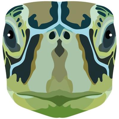 The head of a sea turtle. Bright Portrait is depicted on a white background. Vector graphics. Animal logo