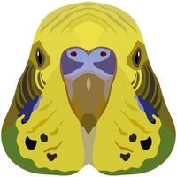 Budgerigar. An illustration of the muzzle of a small domestic bird is depicted. A bright portrait is depicted on a white background. Vector graphics. Animal logo