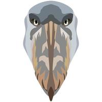 Head of a shoebill. An illustration of the face of a large bird is depicted. A bright portrait is depicted on a white background. Vector graphics. Animal logo