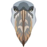 Head of a shoebill. An illustration of the face of a large bird is depicted. A bright portrait is depicted on a white background. Vector graphics. Animal logo