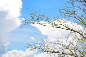 naturaleza, cielo, purwakarta asia foto