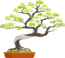 Bonsai-Symbolfarbe png