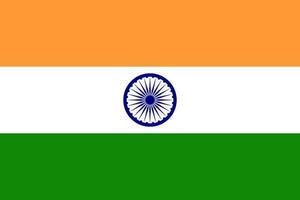 India flag simple illustration for independence day or election vector