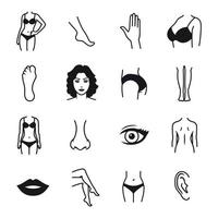 Human body parts icons. Outline icons on a white background vector