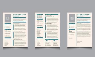 Minimalist Curriculum Vitae CV Template Design Professional Resume Design vector