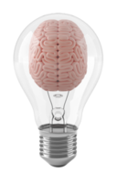 Brain inside light bulb with clipping path 3D illustration concept. 3D rendering png