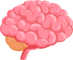símbolo del cerebro humano png
