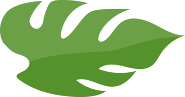 monstera blad grön Färg png