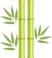 green bamboo icon png