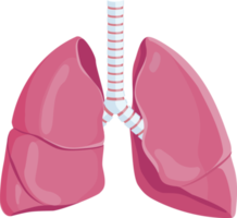 Lungs symbol icon png