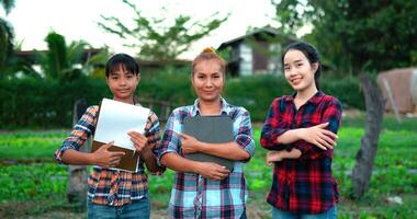 Portrait three Female Agricultural Wear plaid shirt standing cross arms in organic vegetable farm, smile and looking at camera video
