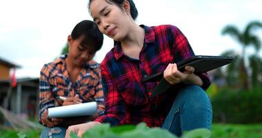 handhållen skott, selektiv fokus, ung kvinna jordbruks ha på sig pläd skjorta innehav läsplatta i hand medan undervisning henne syster plantering, smart jordbruk med teknologi enhet begrepp video