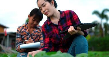 palmare sparo, selettivo messa a fuoco, giovane femmina agricolo indossare plaid camicia Tenere tavoletta nel mano mentre insegnamento sua sorella piantare, inteligente agricoltura con tecnologia dispositivo concetto video