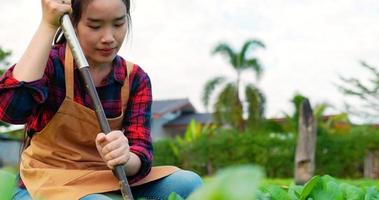 Porträt einer jungen Frau in landwirtschaftlicher Kleidung, kariertes Hemd und Schürze verwenden Sie eine Hacke, um den Boden zu graben, um ihn auf die Anpflanzung in einem Bio-Gemüsebauernhof vorzubereiten video