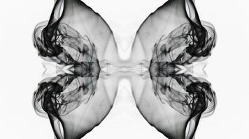 abstrakter Rauch breitet sich spiegelsymmetrisch aus video
