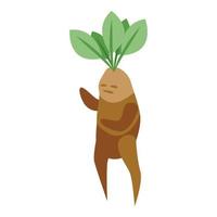 Magic mandrake icon isometric vector. Green leaf vector