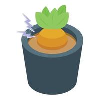 Mandrake pot icon isometric vector. Plant botany vector