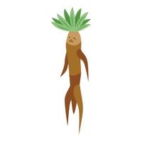 Mandrake plant icon isometric vector. Green leaf vector