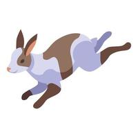 vector isométrico de icono de conejo corriendo. mascota holandesa