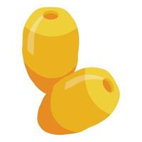 Golden date fruit icon isometric vector. Food palm vector