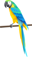 ilustración de guacamayo azul png