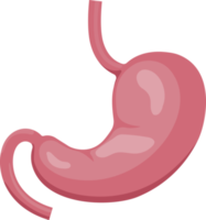 ícone do símbolo do estômago png