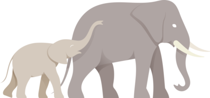 elefante illustrazione simbolo png