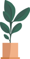 plantes vertes en pots. png