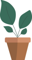 Plants in potted. png