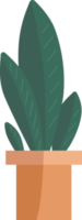 Plants in potted. png