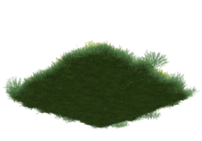 Realistic foliage isolated on transparent background. 3d rendering - illustration png