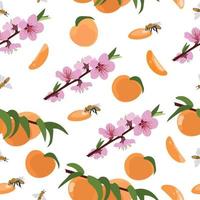 Seamless pattern of peaches and flowering branches. Vector illustration on a white background.