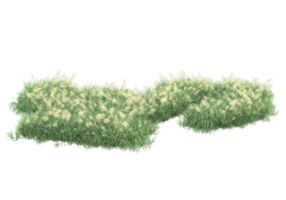 Realistic foliage isolated on transparent background. 3d rendering - illustration png