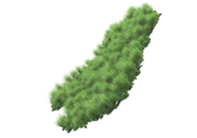 realistisk lövverk isolerat på transparent bakgrund. 3d tolkning - illustration png