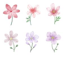 A set of flowers painted in watercolor for designer work create vector