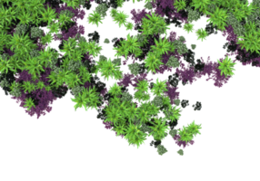 Realistic foliage isolated on transparent background. 3d rendering - illustration png