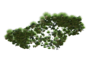 Realistic foliage isolated on transparent background. 3d rendering - illustration png