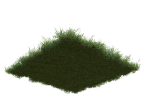 Realistic foliage isolated on transparent background. 3d rendering - illustration png