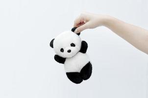 hand holding panda doll, black rim of eyes,panda toy on white background photo