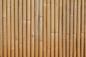fondo de valla de bambú, bambú de textura antigua foto