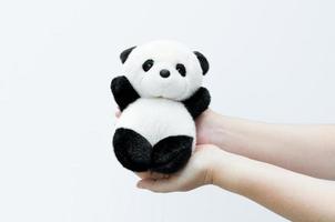 hand holding panda doll, black rim of eyes,panda toy on white background photo