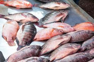 Fresh Tilapia Fish,traditional fish in the market at Asia photo