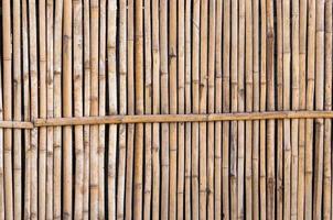 bamboo fence for background photo