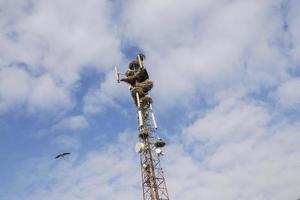 Storks nest installed on a telecommunication antenna tower photo