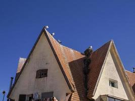 cigüeñas en ifrane, pueblo de estilo suizo marruecos foto