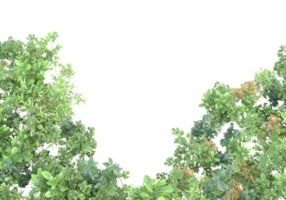 Realistic foliage isolated on transparent background. 3d rendering - illustration png